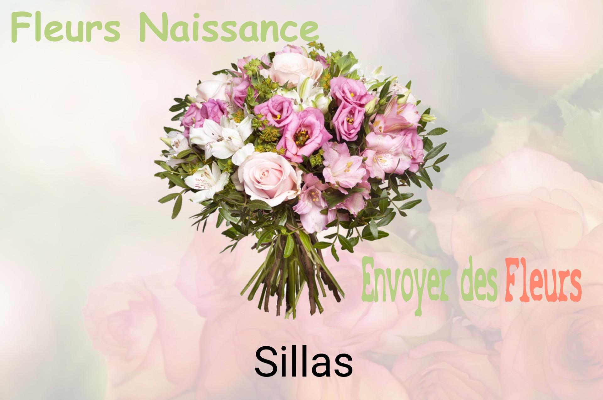 Bouquet de fleurs de naissance livré à Sillas